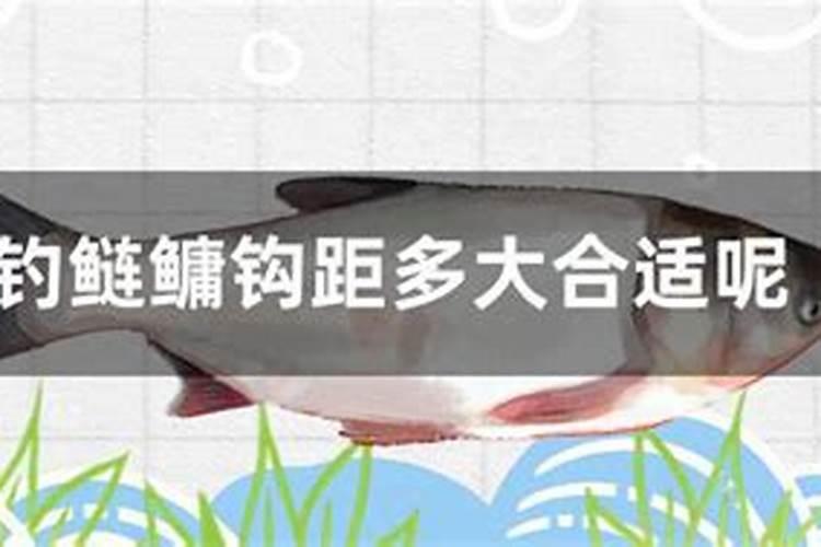 30斤鱼蛋白灌根最佳方法