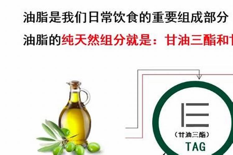 与地形角度分析洞口县有利于柑橘身上的气候条件？