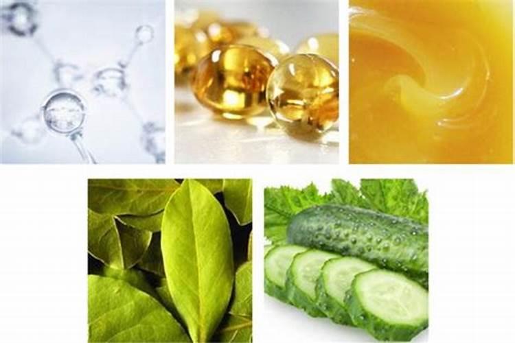 海棠的生活习性