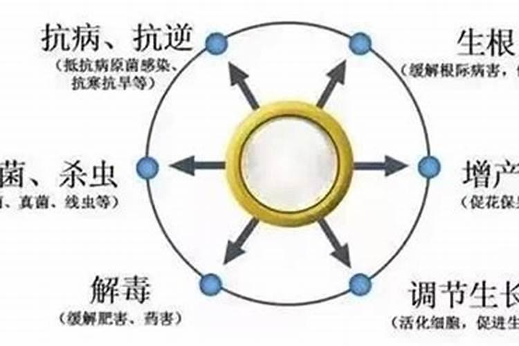 酵素过期了还可以拿来做什么？