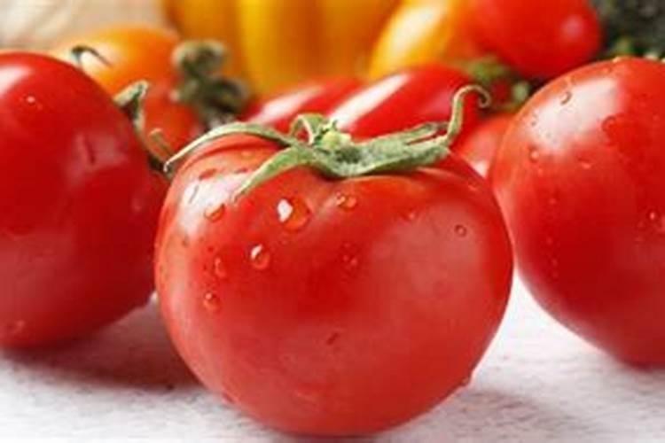 西红柿结果期施什么肥