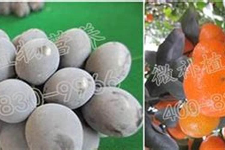 钙肥对作物的主要作用,冲施好还是叶面喷施好