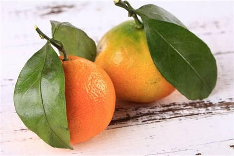 桔子树肥害还能施肥吗？