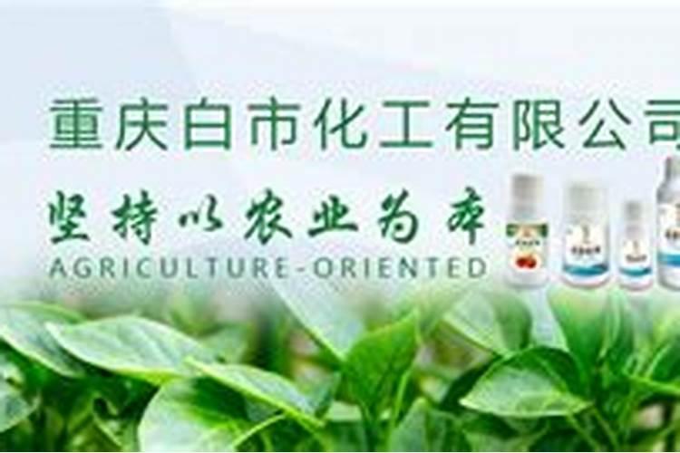 中化化肥有几个生产厂家