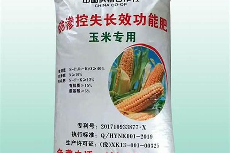 河北省最大的香蕉批发市场在哪？