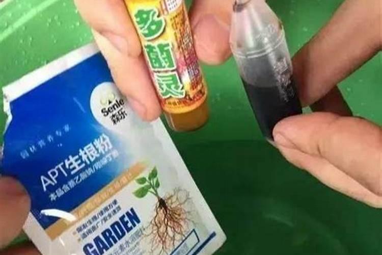 为啥种植油菜要增施硼肥？硼肥的功效都有什么？