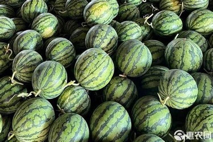 西瓜用什么肥料增甜