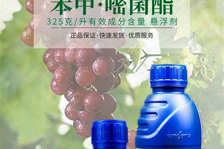 先正达最好的杀菌剂组合