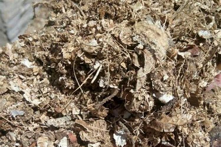 钾肥养花使用方法