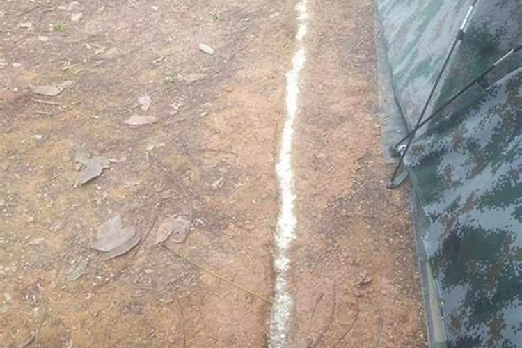 适合盐碱地改良的磷肥