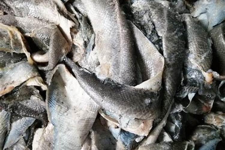 鱼蛋白桶肥对作物效果好处,鱼蛋白桶肥功能和效果