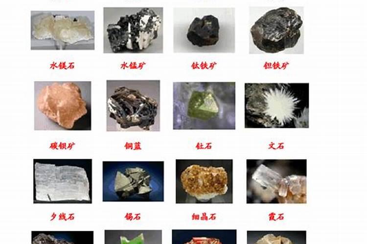 三角梅各个时期的施肥方法