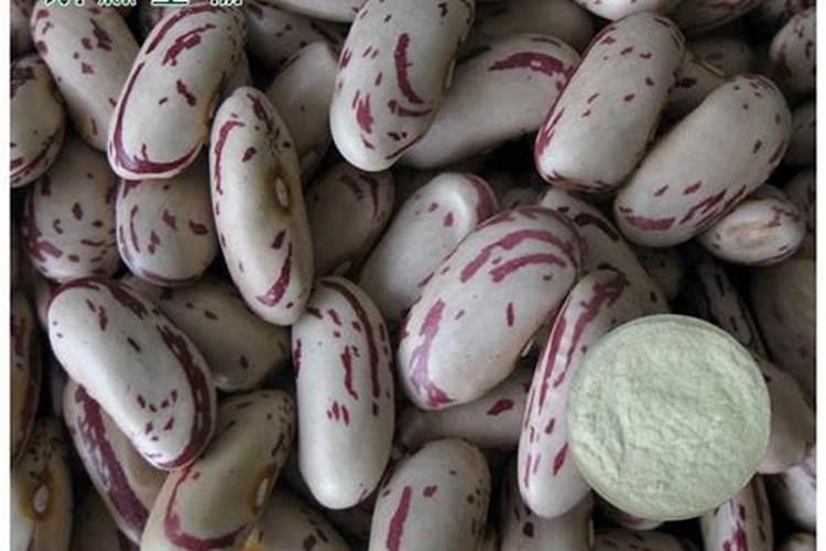 三角梅多久施一次肥 施肥方法和时间