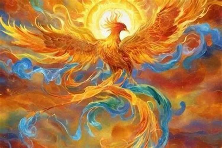 十二生肖都养什么花旺财生肖养什么花旺财