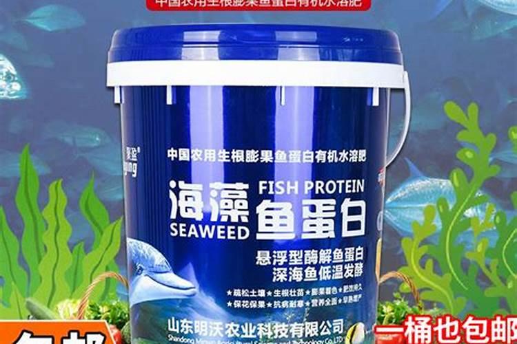 兰花分株后怎样浇水施肥？