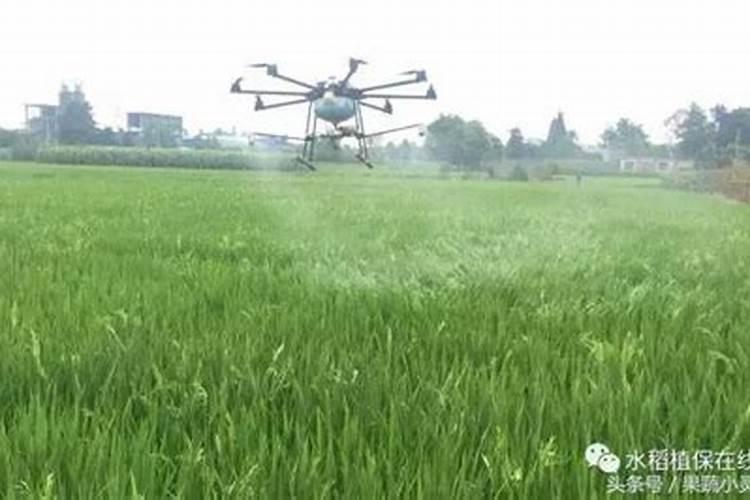 氯化胆碱一季最多用几次