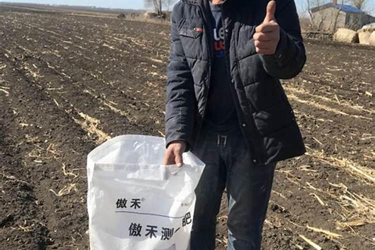 冬小麦底肥用什么化肥