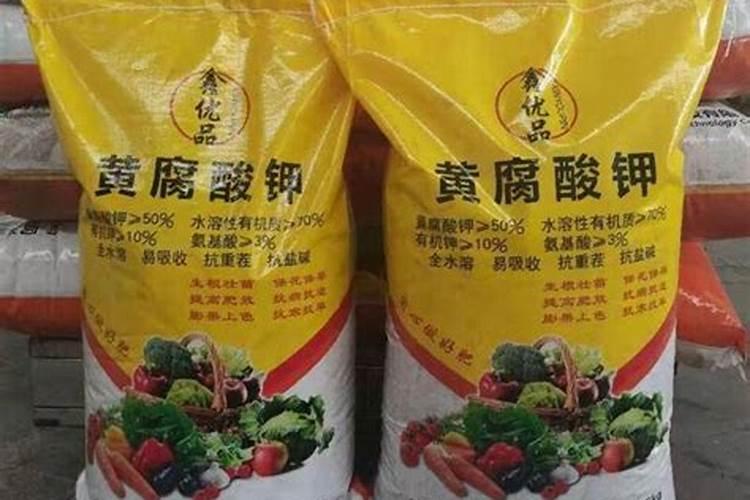 黄腐酸钾对植物果实生长的作用