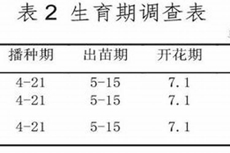 大豆结荚期用什么叶面肥
