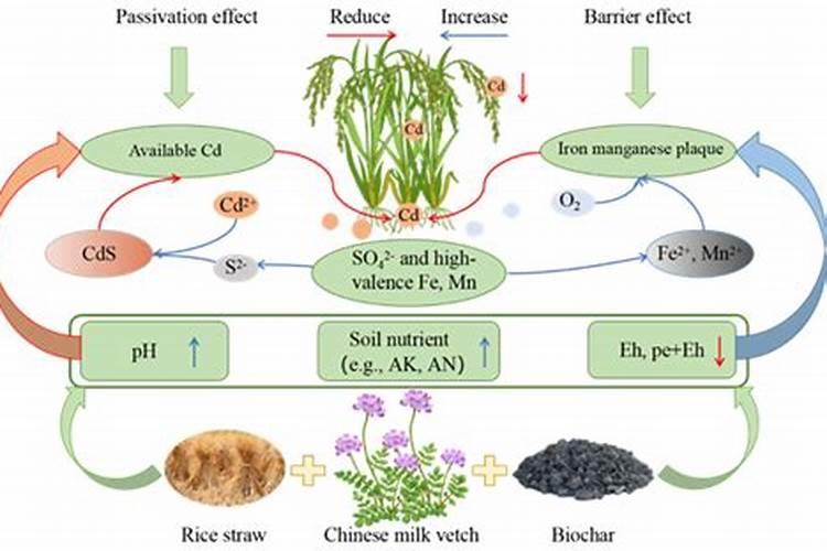 化肥的制造流程和原理讲解一下