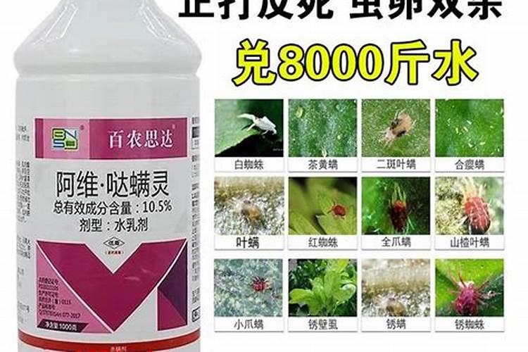 果树叶子上有白色的叶子都快死了应该怎么办