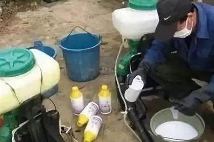 叶面肥浇花怎么使用