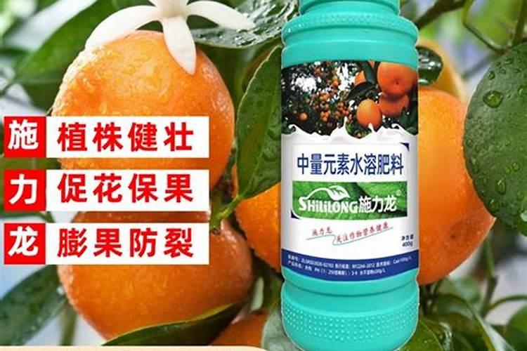 要让脆蜜金桔果皮变软该打哪种药