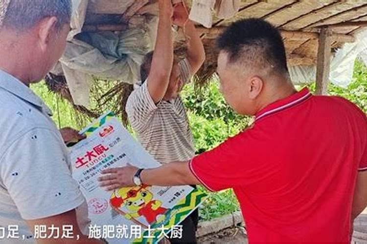 麦麸怎么发酵做肥料