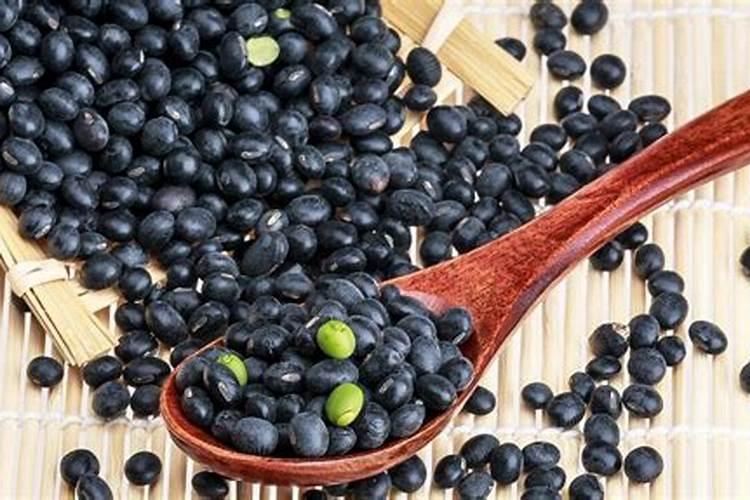 黑豆泡水浇花好吗？其营养成份是什么？