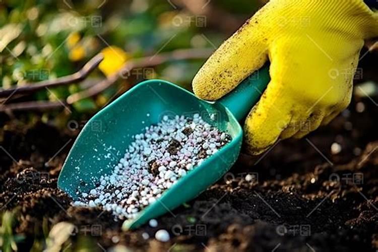 颗粒肥料怎么给花施肥