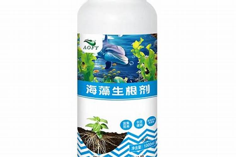 海藻精的正确使用方法
