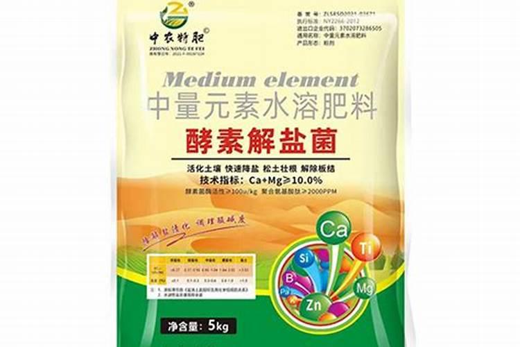 什么是解钾细菌