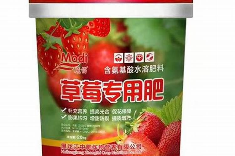 宇龙美收草莓苗能用吗？