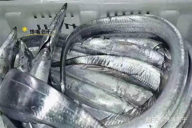 目前国内鱼蛋白肥料哪家比较好？