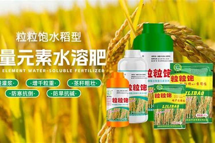 叶面肥哪个厂家最好