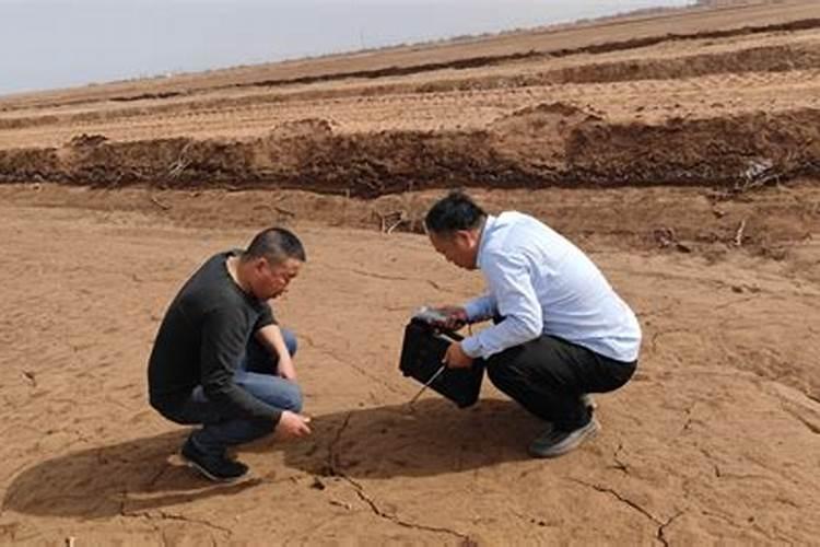 盐碱地用什么化肥最好