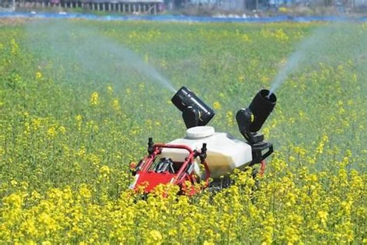 稻田打过甲咪唑烟酸多久可以打敌稗