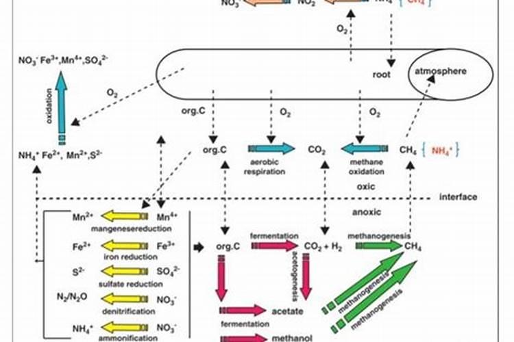 ...相关.用下列生活中常见物质来完成以下各题:A.甲烷B.生石灰C.熟百...
