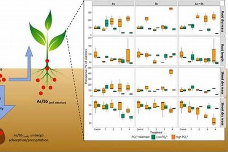 影响土壤中总磷含量的因素有哪些？
