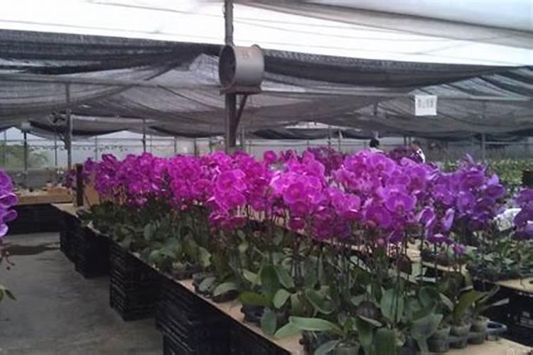 直播卖水溶肥利润空间怎么样啊