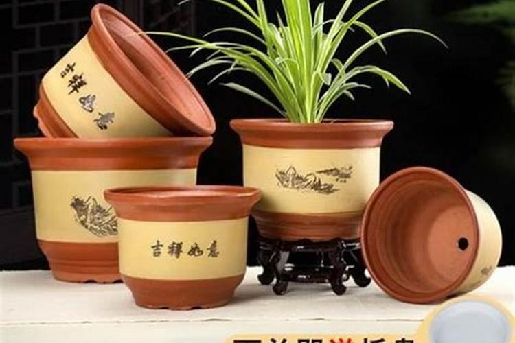 种植向日葵。放进花盆里之前需要用水泡吗？还要注意什么？