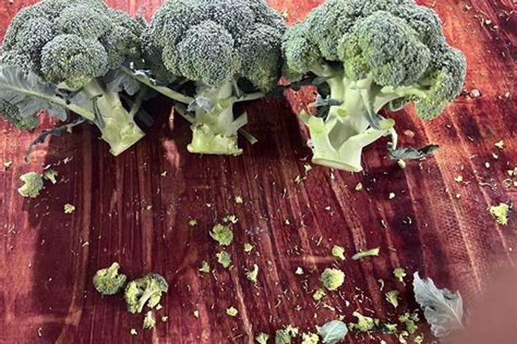 西兰花水溶肥施用方法有哪些？