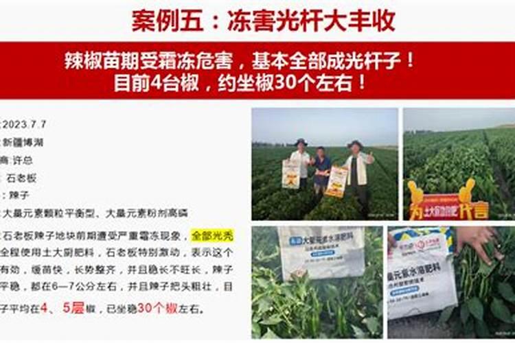 大量元素水溶肥为什么是蓝色