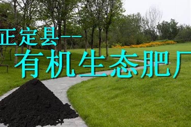 有机肥使用草坪可以吗用不用马上浇水