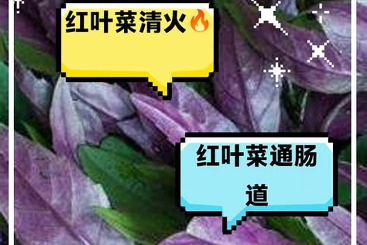 葡萄栽下多久可以施肥葡萄栽种几年可施肥