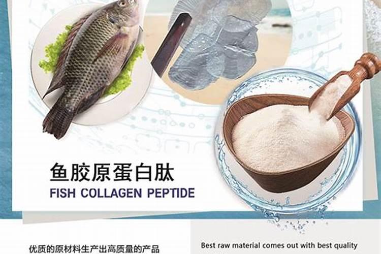 海藻肥是什么肥？了解海藻肥的作用