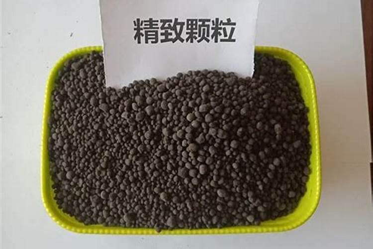 大棚微辣辣椒种植技术 辣椒怎么施肥