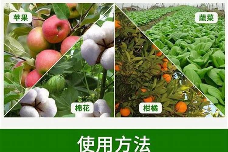 柑桔锈壁虱防治用什么药