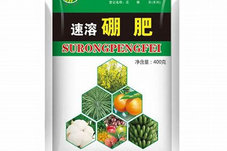 无硼难坐果,果树花前要补硼,叶面硼肥有多种,果农该如何选？