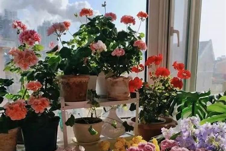 水溶肥十大名牌